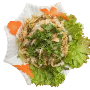 Chicken Webs Salad With Orson[br]ကြက်ခြေအော်စွန်းသုပ်
